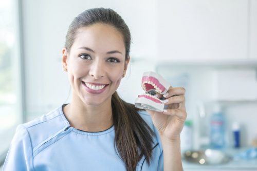 Dentist smiles at the camera while holding a denture with left hand.